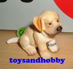 16342 - GOLDEN RETRIEVER PUPPY