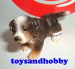 16344 - BERNESE MOUNTAIN DOG PUPPY