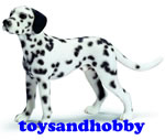 16346 - DALMATION MALE