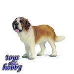 16371 - HUSKY MALE