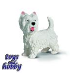 16371 - HUSKY MALE