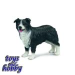 16371 - HUSKY MALE