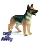 16371 - HUSKY MALE