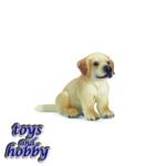 16342 - Golden Retriever Puppy