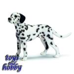 16346 - DALMATION MALE