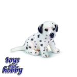 16348 - DALMATION PUPPY SITTING 