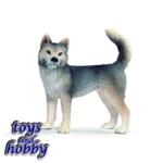 16372 - HUSKY FEMALE