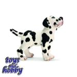 16385 - Great Dane puppy