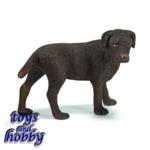 16387 - Labrador, female