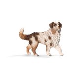 16392 - Australian Shepherd, female