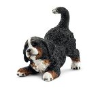 16398 - Bernese Mountain Dog puppy