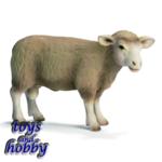 13266 - Ram