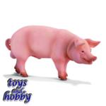 13287 - Boar