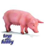 13288 - Sow, standing