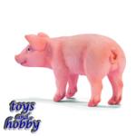 13289 - Piglet, standing