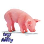 13290 - Piglet, eating
