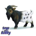 13602 - Mini Billy Goat