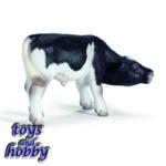 13615 - Holstein Calf, sucking