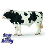 13632 - Holstein Bull
