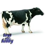 13633 - Holstein Cow