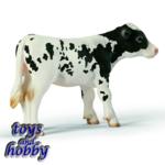 13634 - Holstien Calf