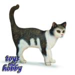 13638 - Cat Standing