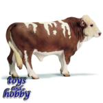 13640 - Simmental bull