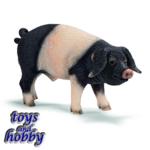 13643 - Swabian-Hall boar