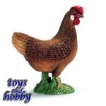13646 - Hen