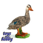 13653 - Duck