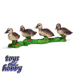 13655 - Duckling