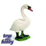 13656 - Mute swan, female