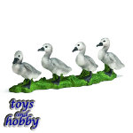 13657 - Mute swan, cygnet