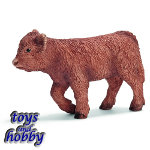 13660 - Scottish Highland Calf