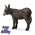 13661 - Poitou Donkey
