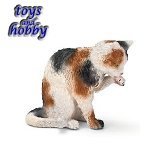 13675 - Cat, grooming
