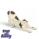 13677 - Male cat, stretching