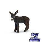 13686 - Poitou donkey foal