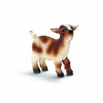 13716 - Dwarf goat kid
