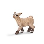 13717 - Dwarf goat kid, Bleating