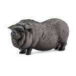 Pot-bellied pig - PRE-ORDER NOW