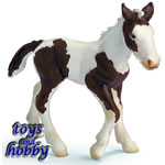13295 - Tinker Foal