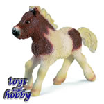 13608 - Shetland Foal