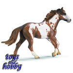 13616 - Pinto Stallion