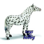 13617 - Knabstrupper Mare