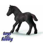13628 - Camargue foal