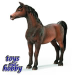 13629 - Arabian Stallion