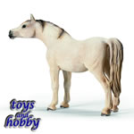 13630 - Arabian Mare