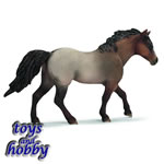 13650 - Quarter Horse