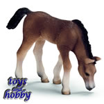 13652 - Arabian Foal, Grazing
